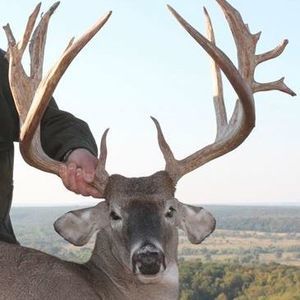 Meet your Posher, Chuck